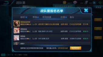 王者爆料清单最新版,揭秘新英雄、新皮肤及游戏更新亮点  第1张